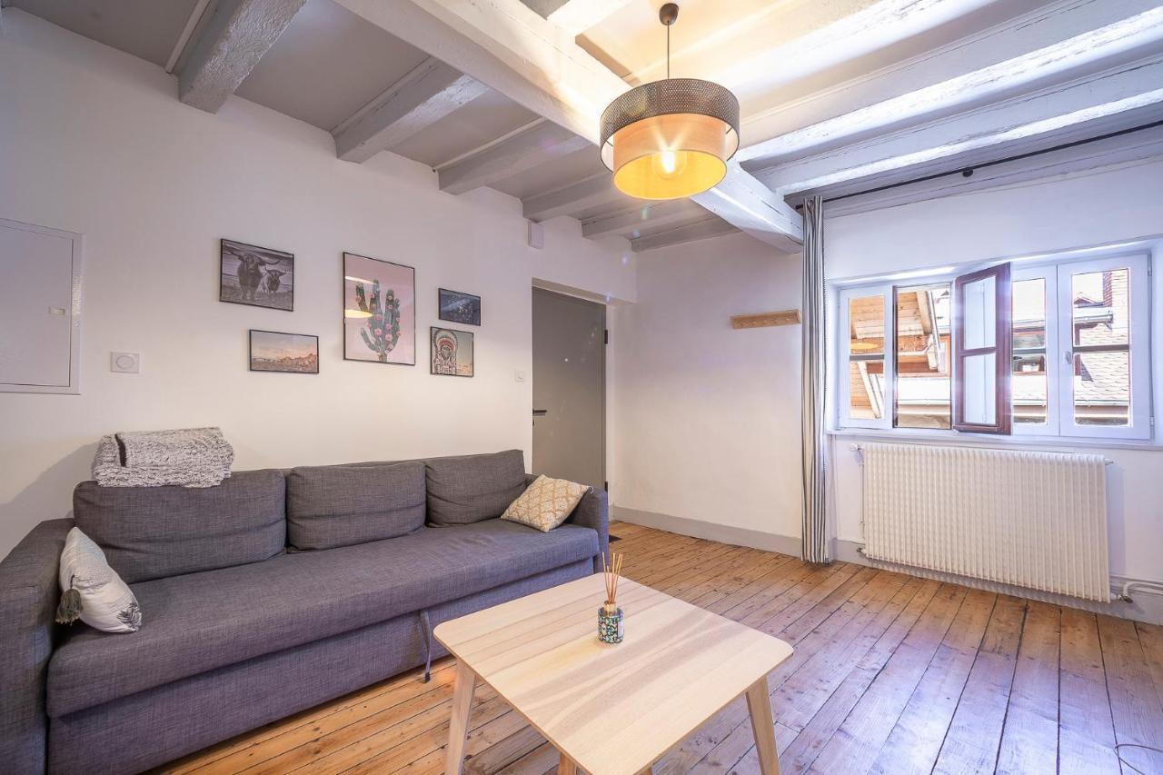 Bel Appartement, 2 Chambres, Annecy Coeur De Ville Exterior photo